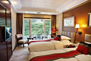 黃金5號遊輪圖片