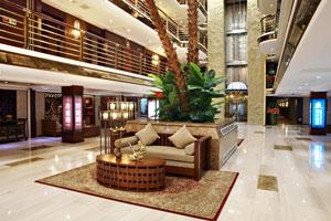 黃金5號遊輪圖片