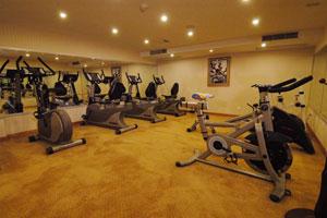 星際領航號遊輪健身房