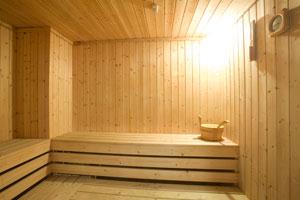 星際領航號遊輪桑拿房